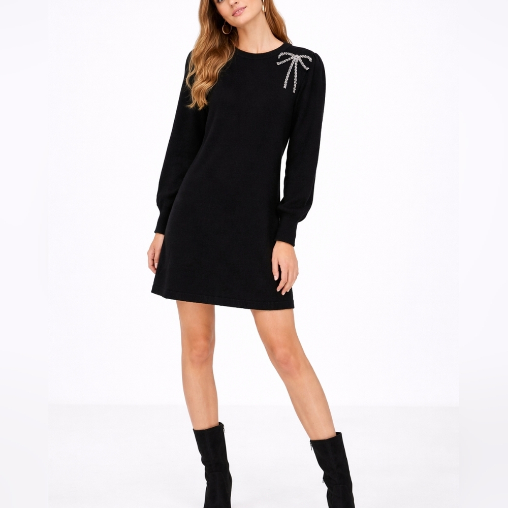 CeCe Women's Beaded Ribbon Long Sleeves Sweater Dress Cozy
